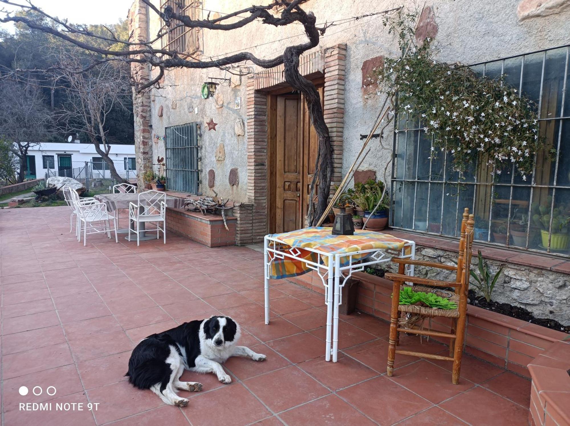 Masia Can Sunyer Agroturismo La Garriga Extérieur photo